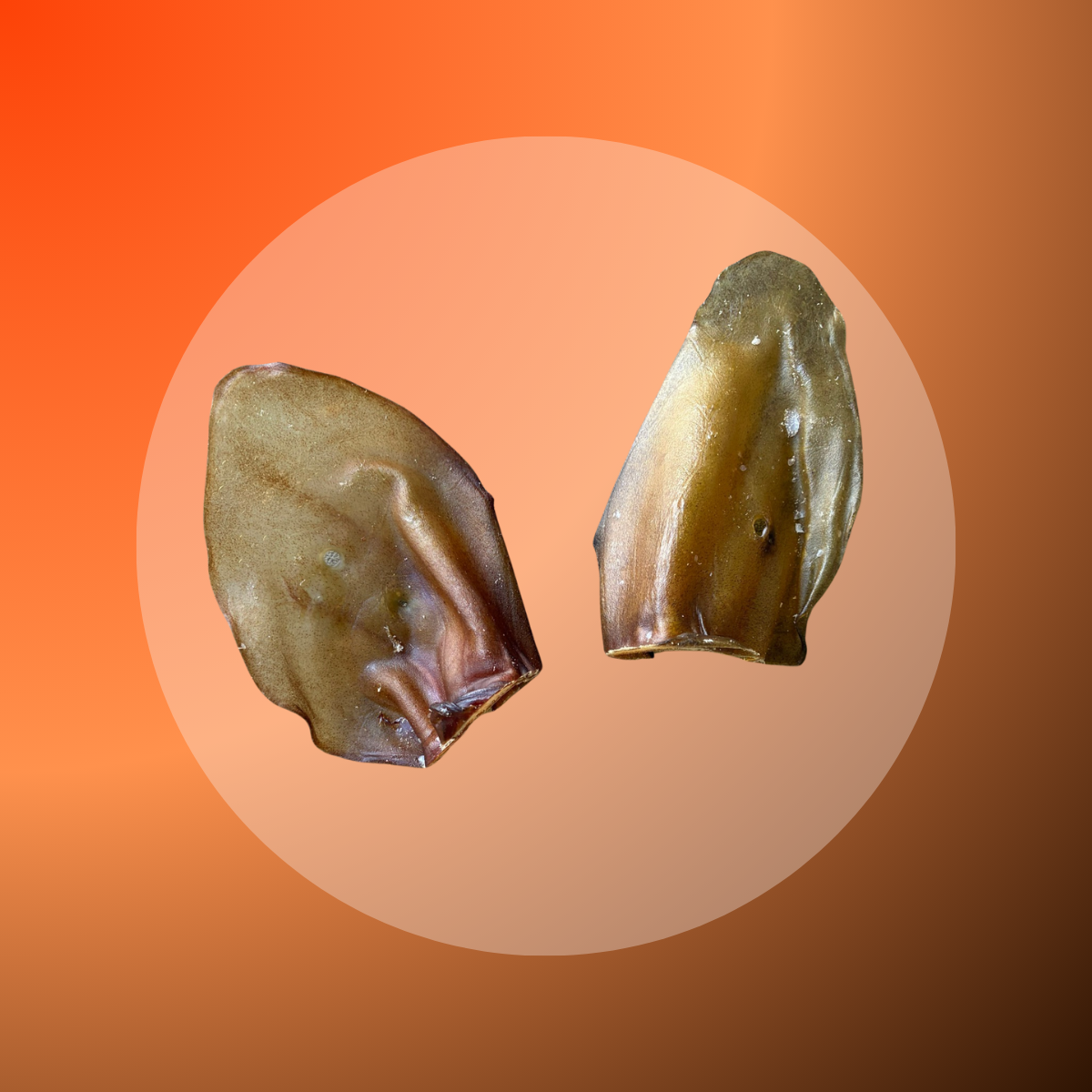 Beef Ear - 5 pcs