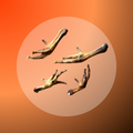 Chicken Feet - 1 kg