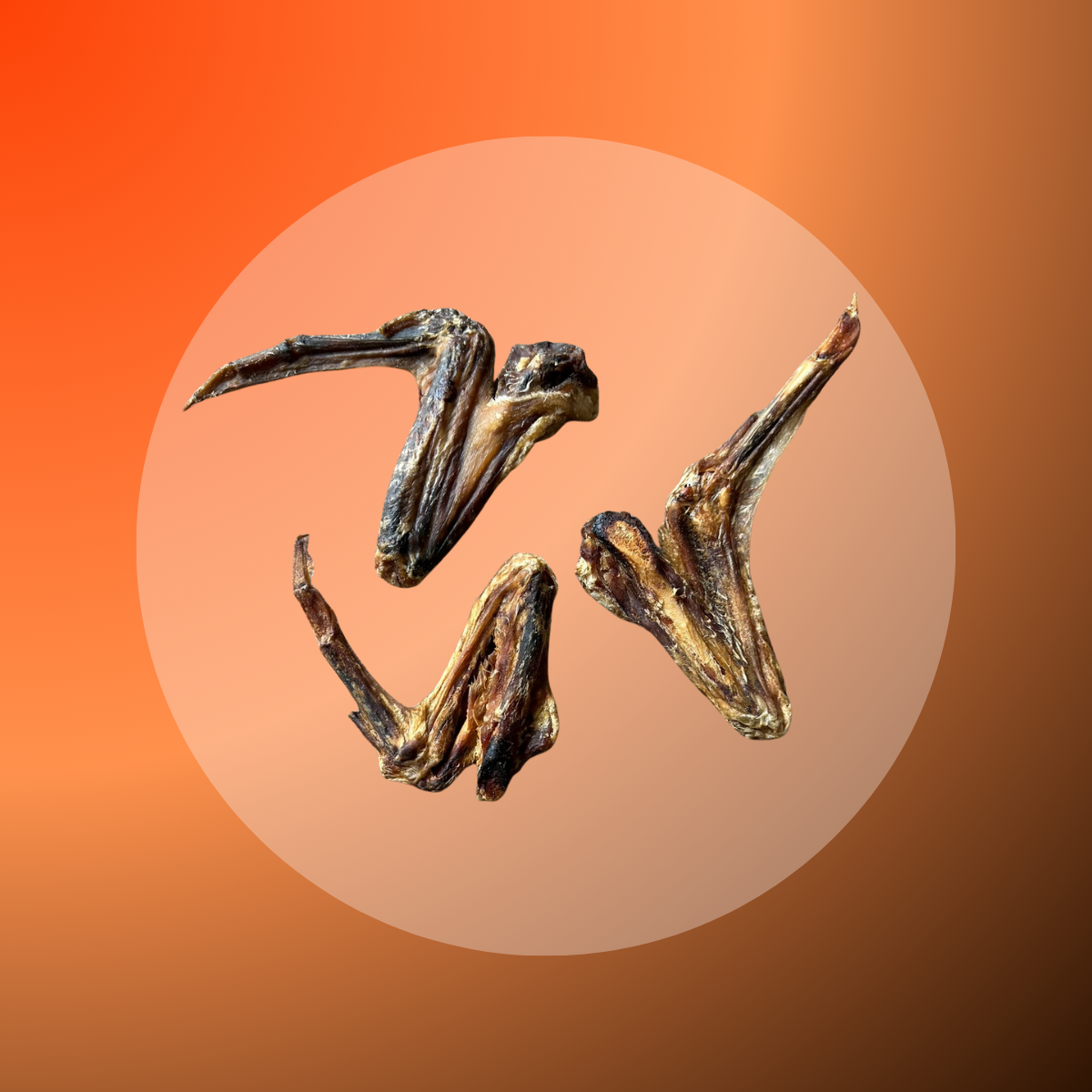 Duck Wings - 5 pcs
