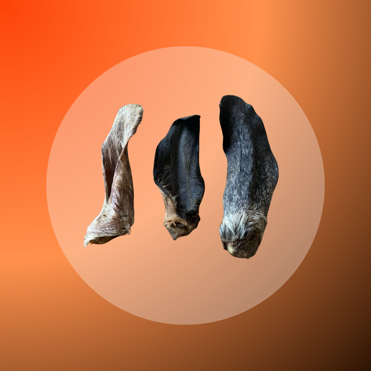 Goat Ears with Hair - 3 pcs