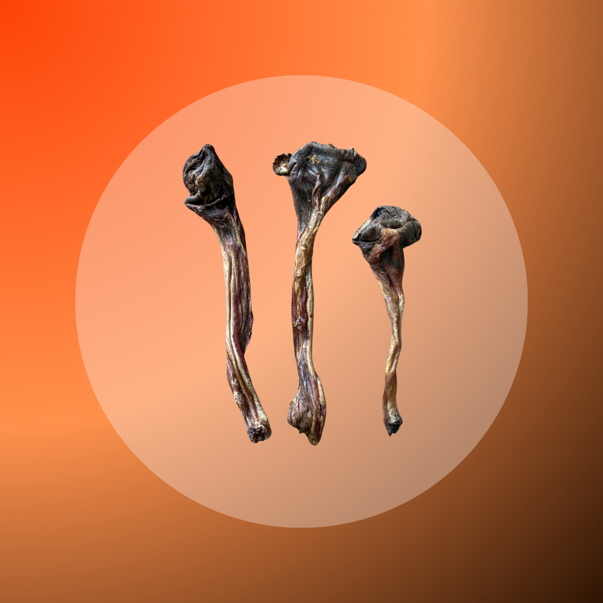 Kangaroo Tendons - 100 g