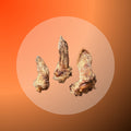 Lamb Ears Fur On - 5 pieces