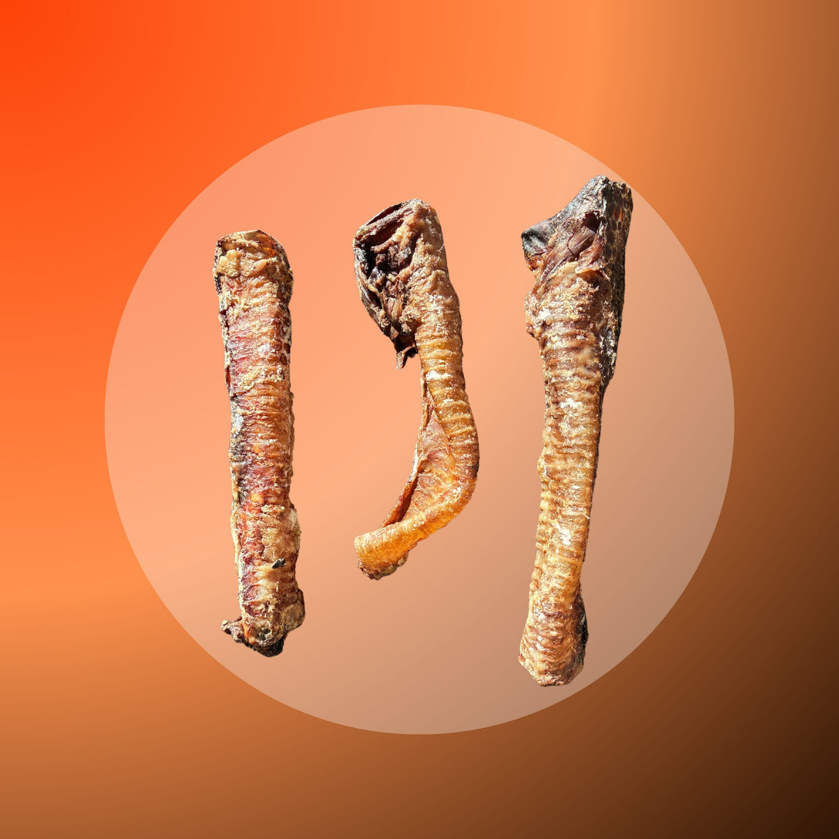 Lamb Trachea - 100g