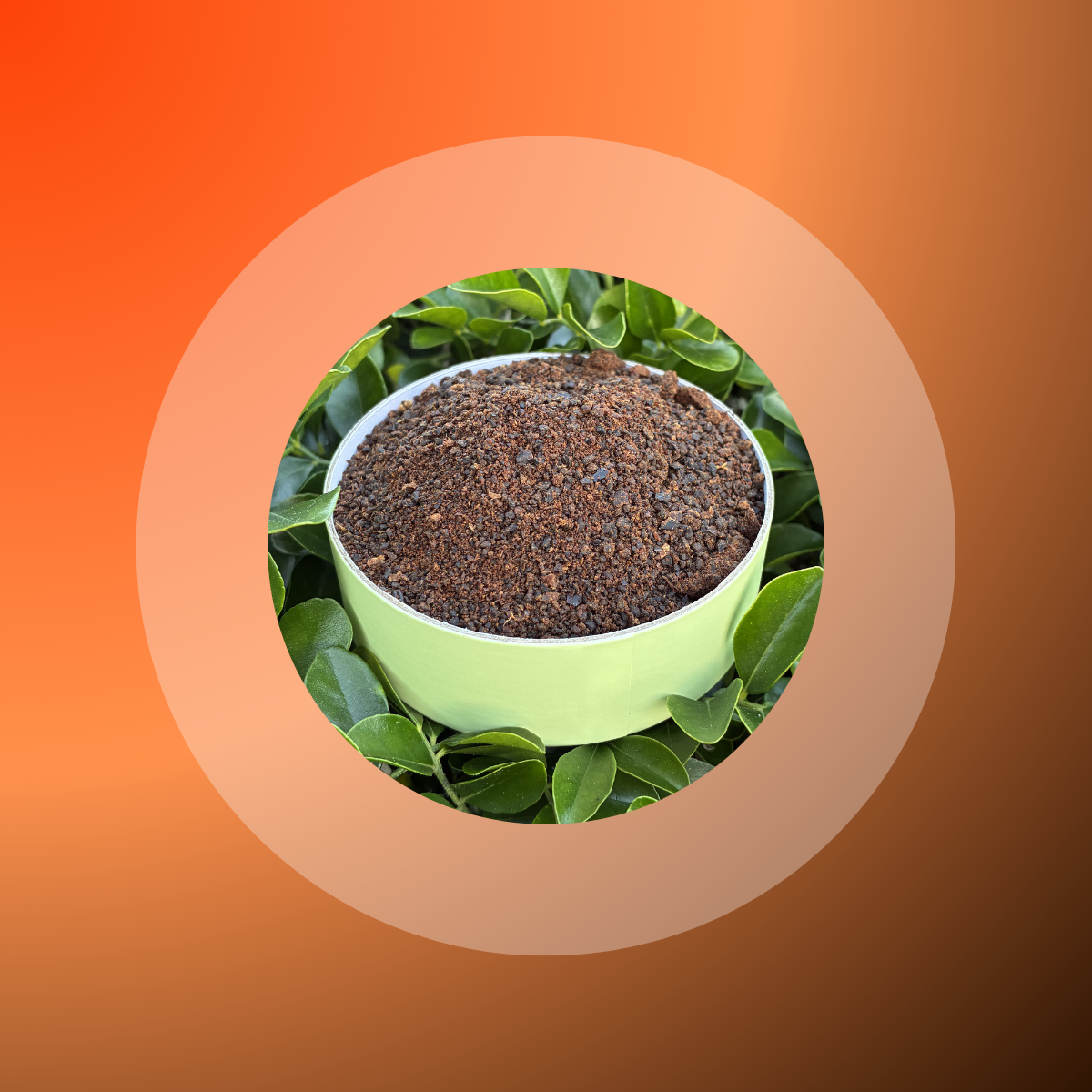 Beef Liver Meal Topper