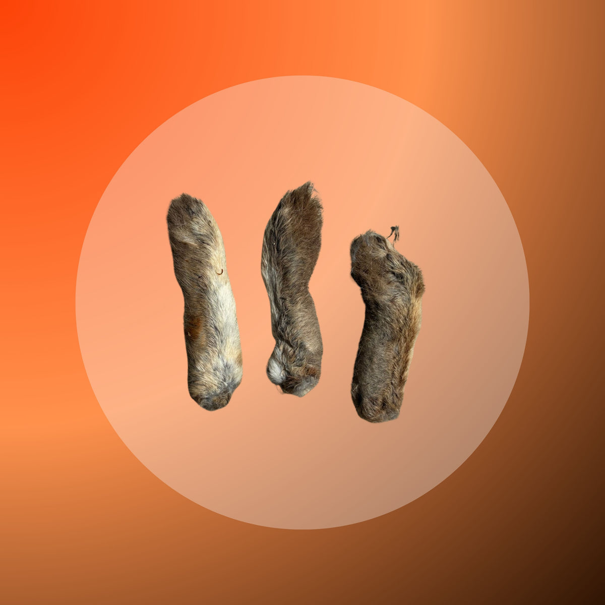 Rabbit Feet - 50g