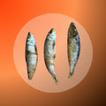 Sardines - 100g