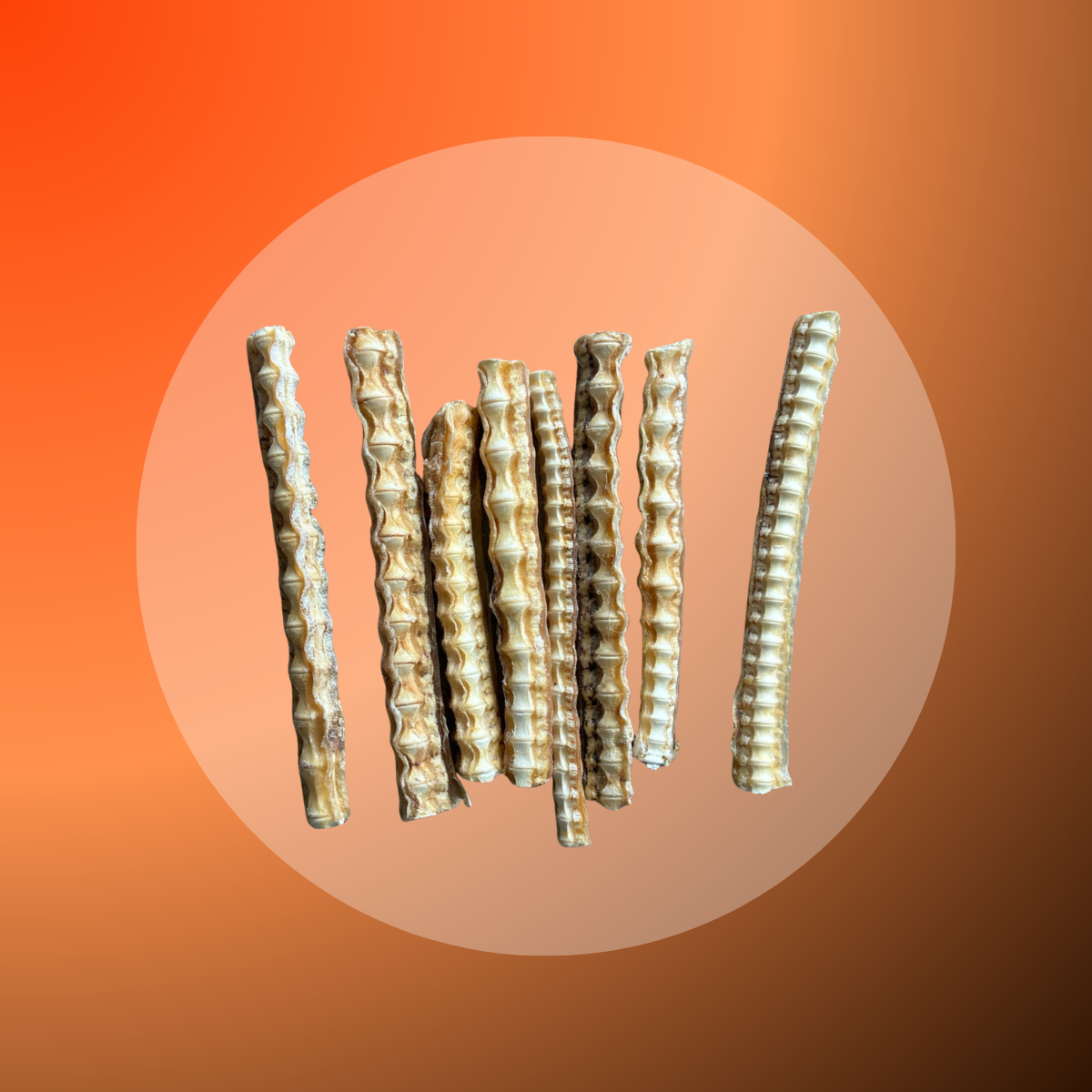 Shark Cartilage - 1 kg